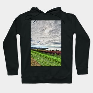 Autumn at Lake Constance, Germany Hoodie